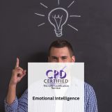 Emotional Intelligence