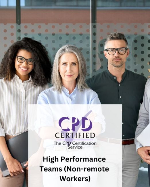 High Performance Teams (Non-remote Workers) (E-learning)