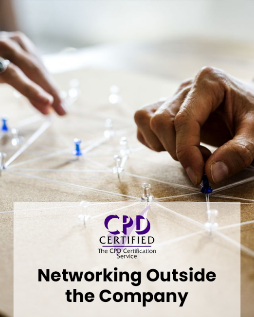 Networking (Outside the Company) (E-learning)
