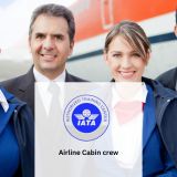 cabin crew