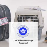 Live Animals for Cargo Personnel