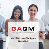 Certified Lean Six Sigma Black Belt