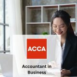 Accountant in Business