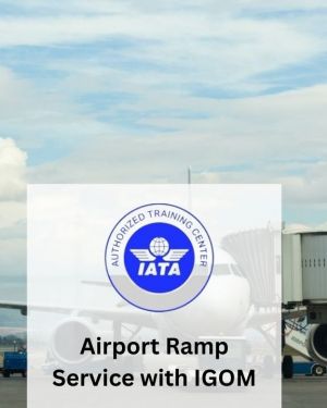 AIRPORT RAMP SERVICE WITH IGOM