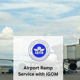 Airport Ramp Service with IGOM