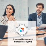 Program Management Professional (PgMP)