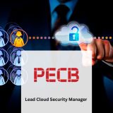 Lead Cloud Security Manager