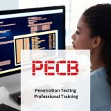 Penetration Testing Professional Training