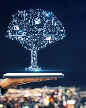AI+ Sustainability™ (Classroom Training)
