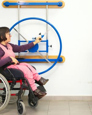 Special Needs Training