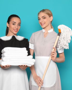 Professional Maid Training