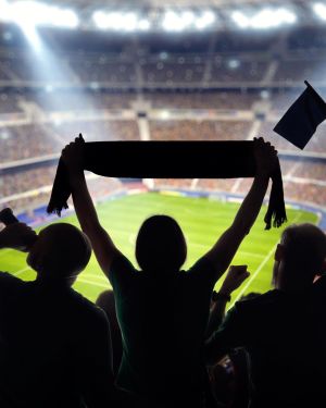 Understanding Stewarding at Spectator Safety Events and Spectator Training