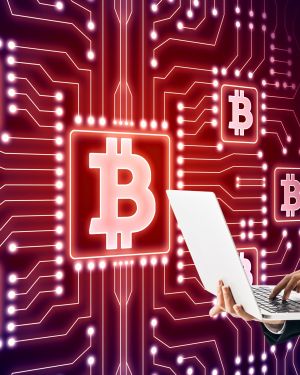 Bitcoin+ Developer™ (Classroom Training)