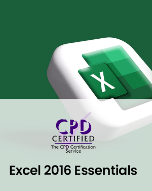 Excel 2016 Essentials (Classroom Training)