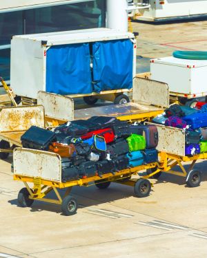Baggage Handling Services and Systems (Theory Only)