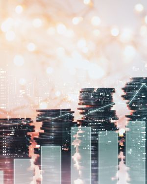Effective Costing & Budgeting for Performance Management Training