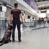Airport Security Operations Optimization Training